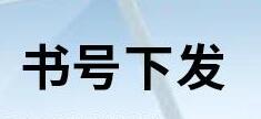 沒有cip的書是正版嗎