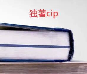 獨(dú)著cip有差異嗎