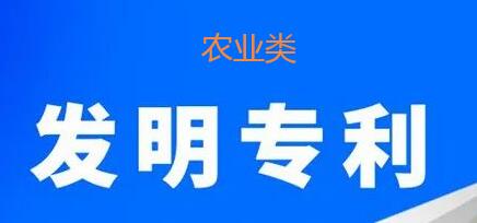實用新型專利