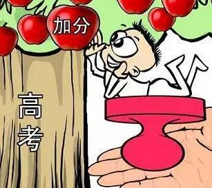 中高考加分項目有哪些