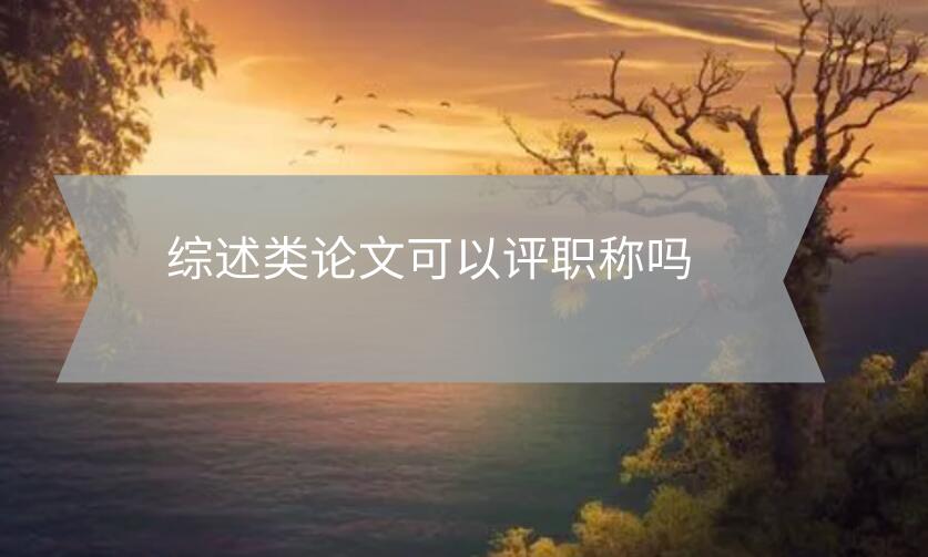 綜述類論文可以評職稱嗎