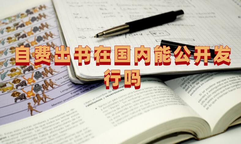 自費出書在國內能公開發行嗎