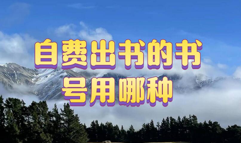 自費出書的書號用哪種
