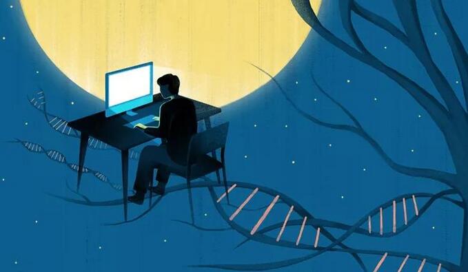 Nature確認熬夜會損傷大腦，睡眠可幫助大腦“重置”