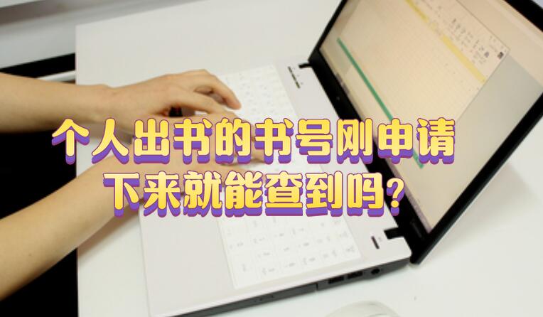 個人出書的書號剛申請下來就能查到嗎?