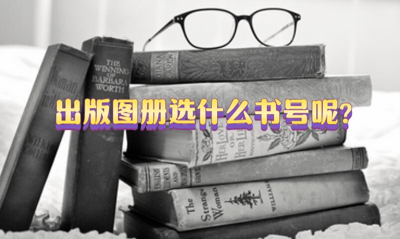 出版圖冊選什么書號