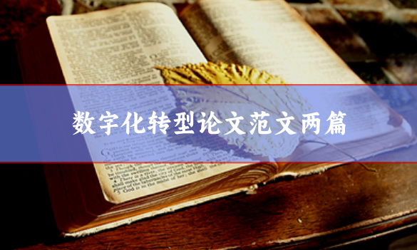 數(shù)字化轉(zhuǎn)型論文范文