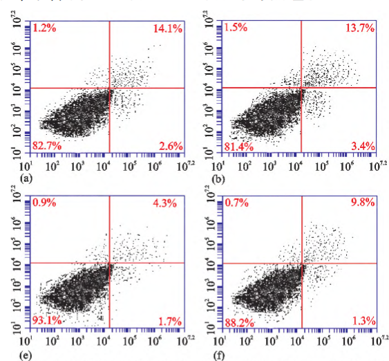 骨關節炎論文范文