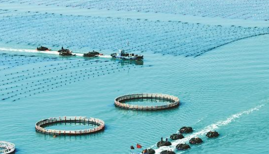 海洋經(jīng)濟(jì)方向論文選題