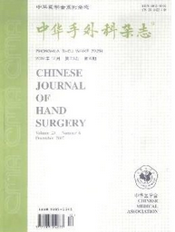 中華手外科雜志