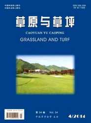 草原與草坪