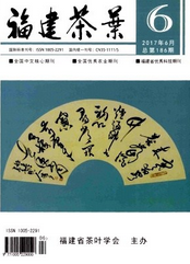 福建茶葉