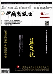 中國畜牧業