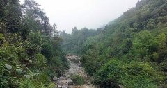 淺析林地保護與林業發展的關系