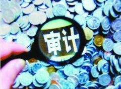 基于投資審計方法的經濟責任審計思路