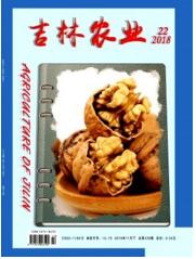 吉林農業
