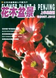 花木盆景