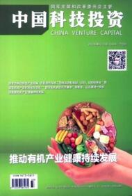 中國科技投資