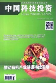 中國科技投資