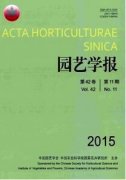 藥用植物在園藝景觀中的應用與發展