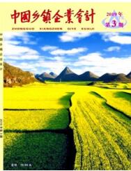 中國鄉鎮企業會計