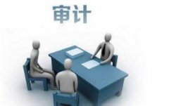 商業銀行大數據審計的應用模式體系