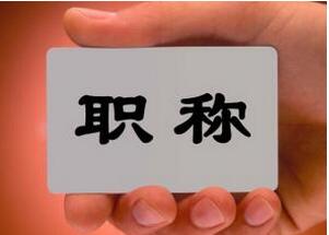 職稱評審材料
