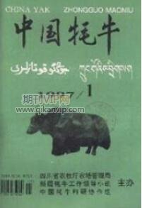中國耗牛