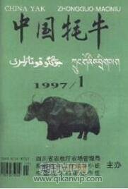 中國耗牛