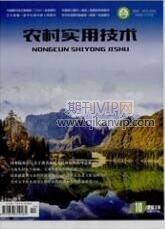 農村實用技術