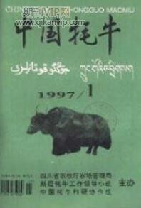 中國耗牛