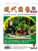 中國古典園林的生存現狀及其未來發展