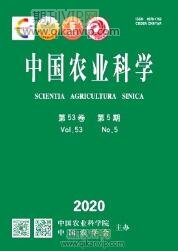 農業經濟論文