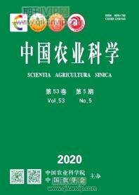 農業工程論文