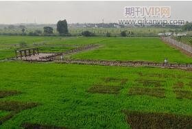 農業論文發表