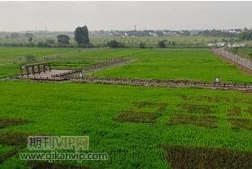農業(yè)發(fā)展論文
