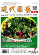 園林施工規(guī)劃及施工細節(jié)處理