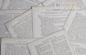 物流樞紐建設論文文獻