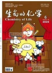 生命的化學