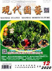現(xiàn)代園林