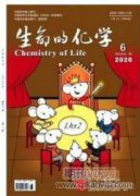 雜交榛子84-254和84-226在朝陽南部引種研究