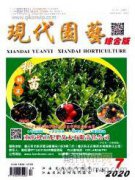 枯山水在庭園微景觀設計中的應用