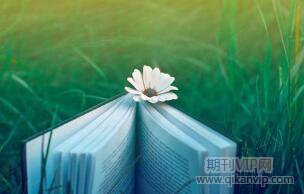 教材出版論文