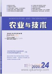 城鎮化發展論文