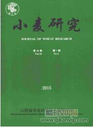 小麥研究