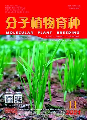 分子植物育種