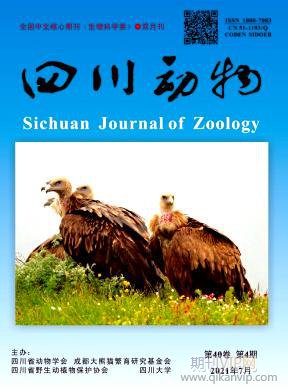 四川動物