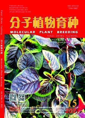 分子植物育種