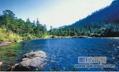 中職園林設計基礎課程思政探索與實踐